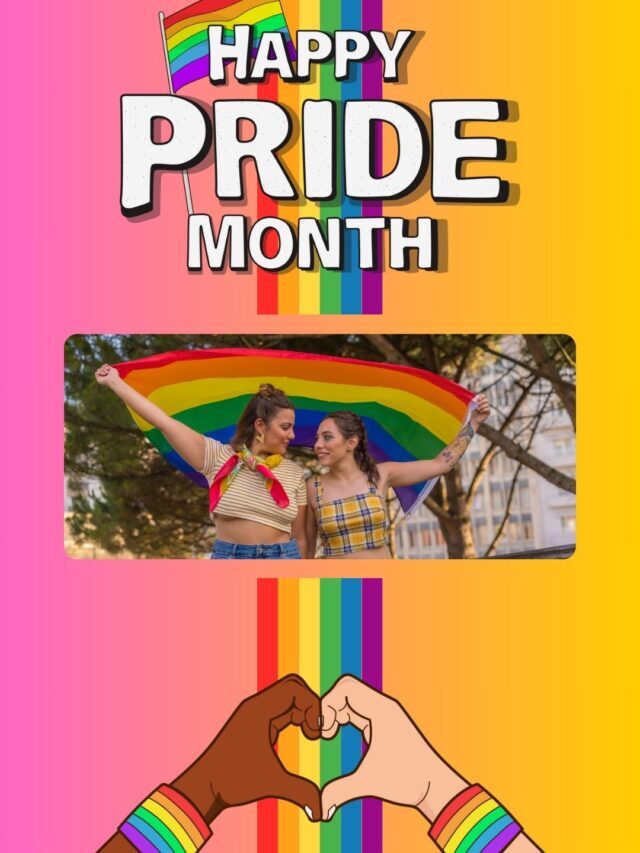 Pride Month Flannel Fashion